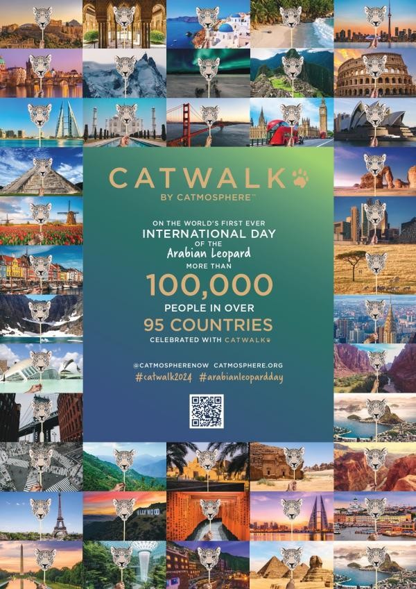 Catwalk Final Report 2024