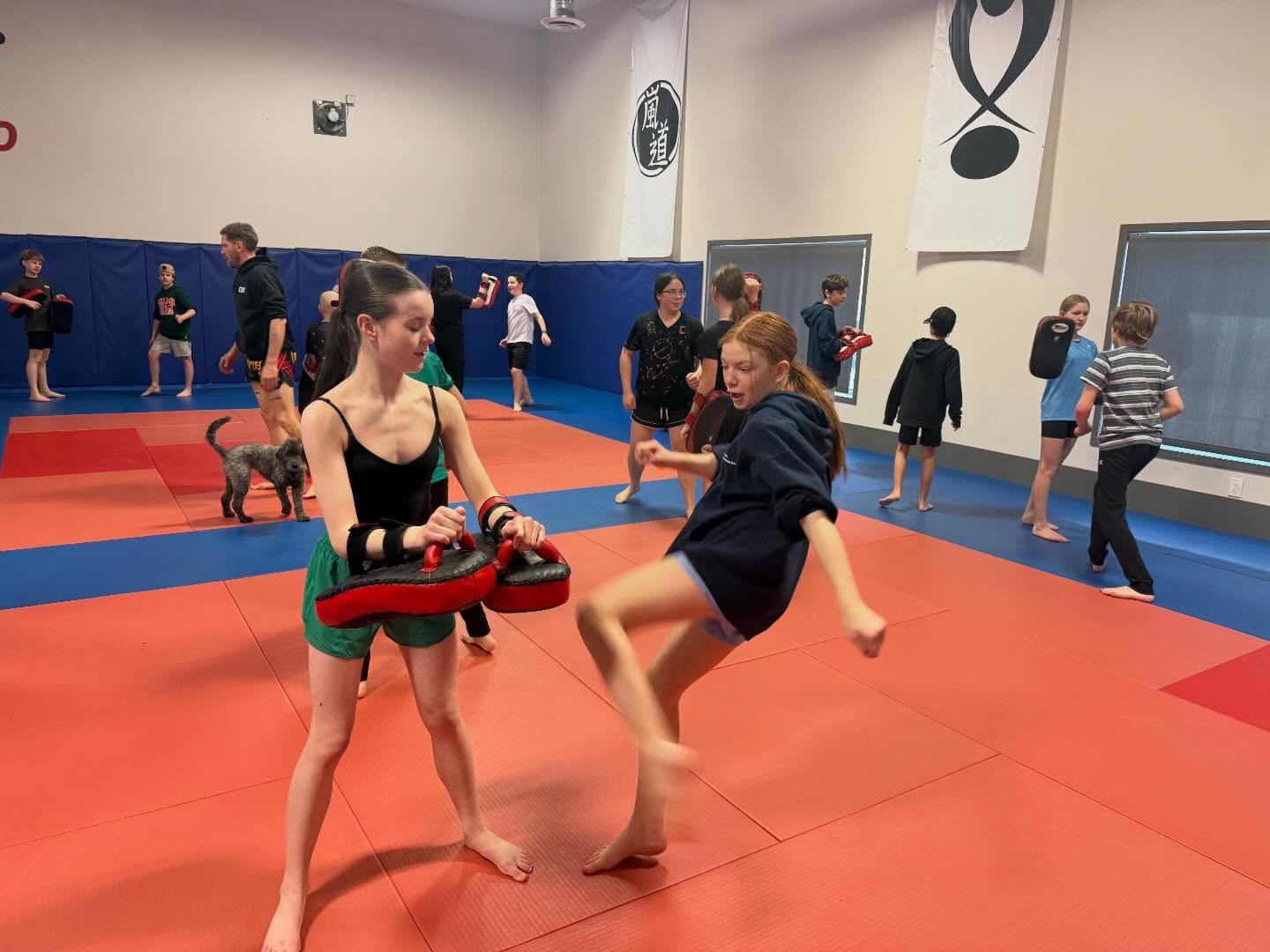 The School Programme Kids Don't Want to Miss: How Daily Movement Is Changing What School Feels Like